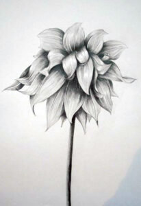 Pencil sketch by Rachael Wotherspoon